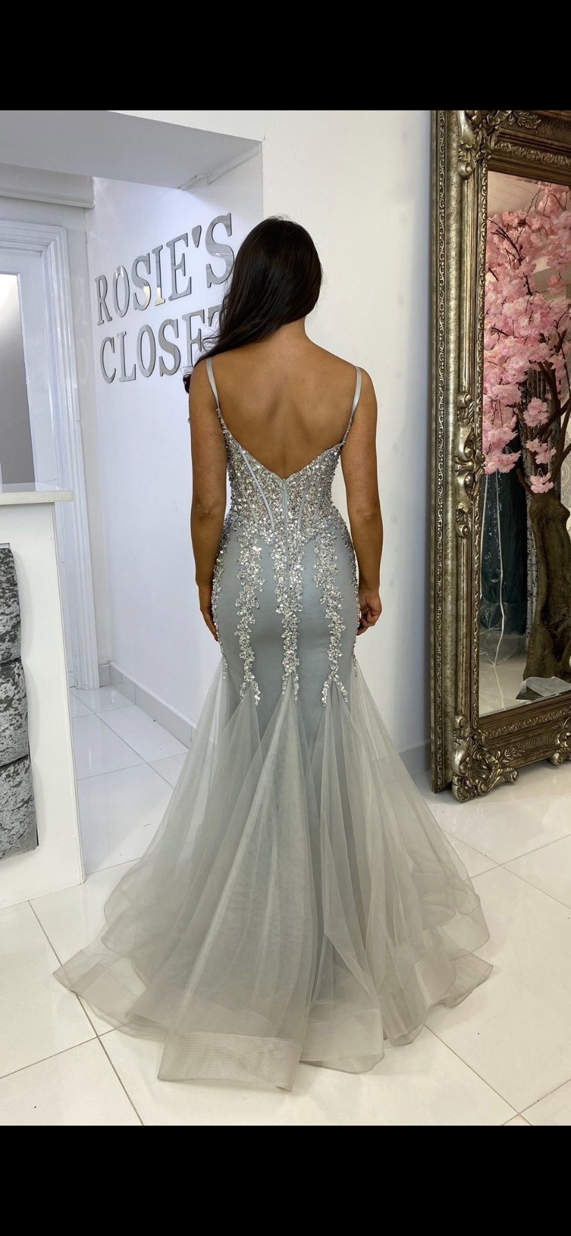 Silver Corset Style Fishtail Full Length Gown